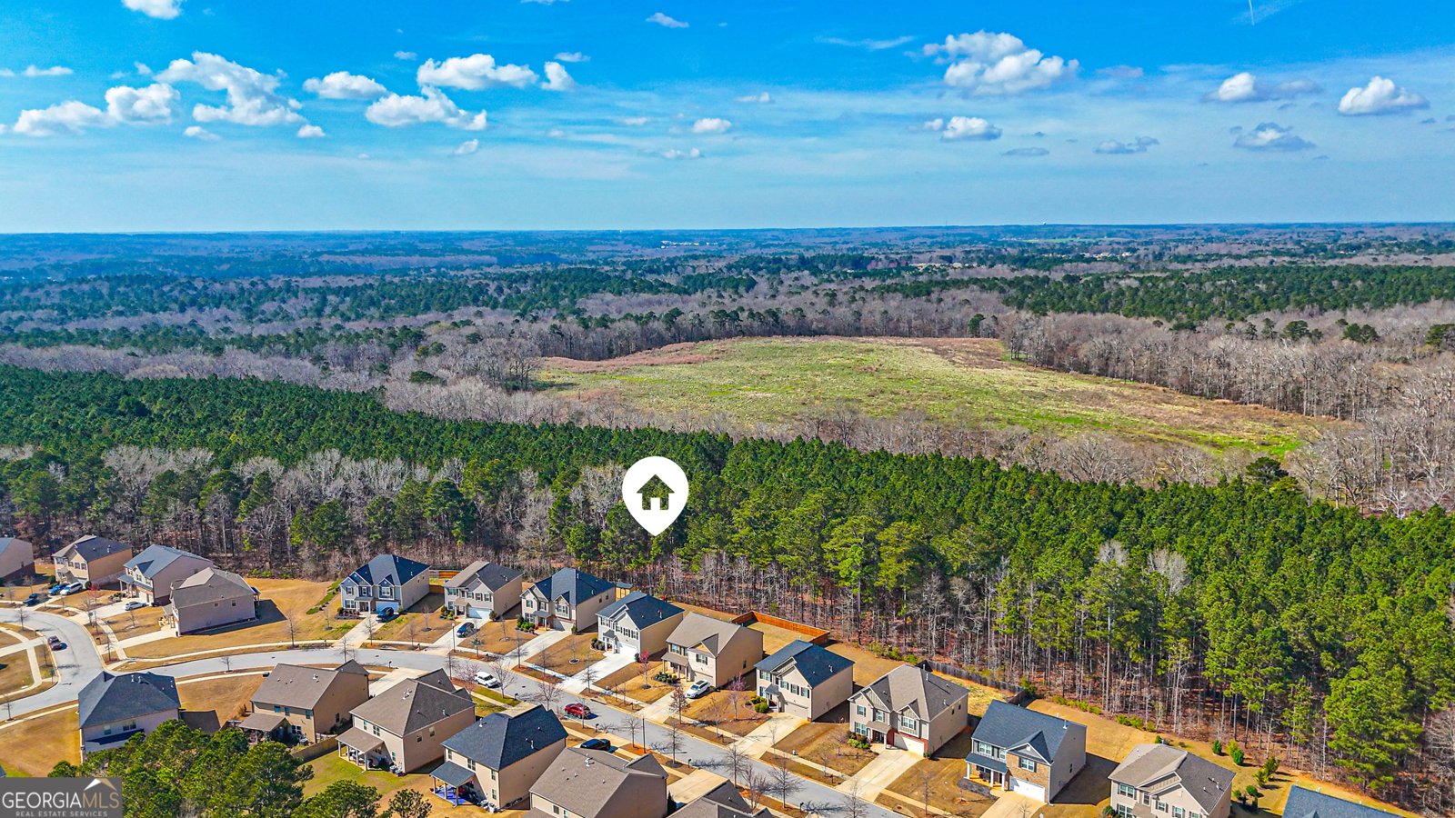 7663 Watson Circle Locust Grove - Photo 47