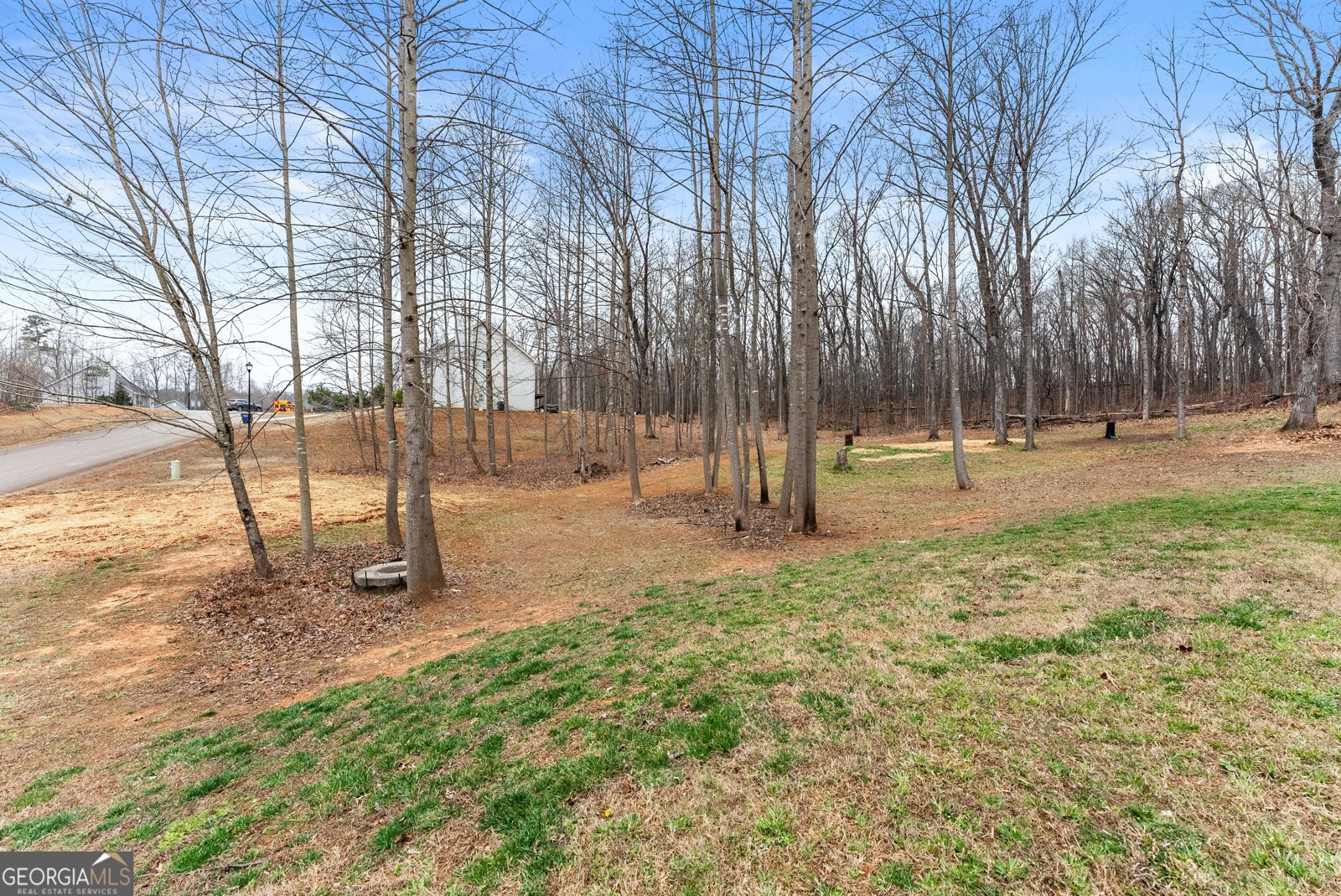 5612 Deerberry Lane Gillsville - Photo 34