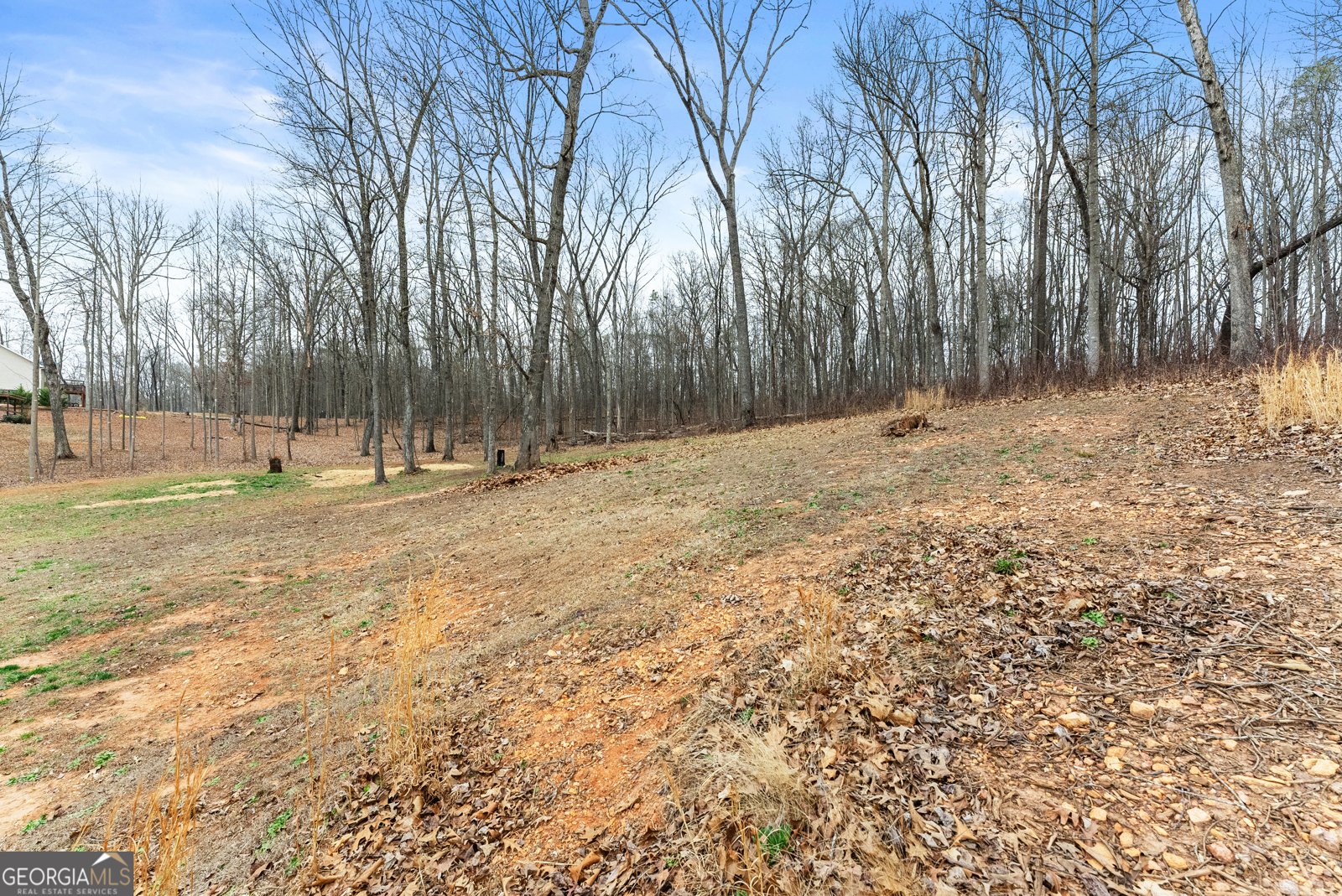 5612 Deerberry Lane Gillsville - Photo 36