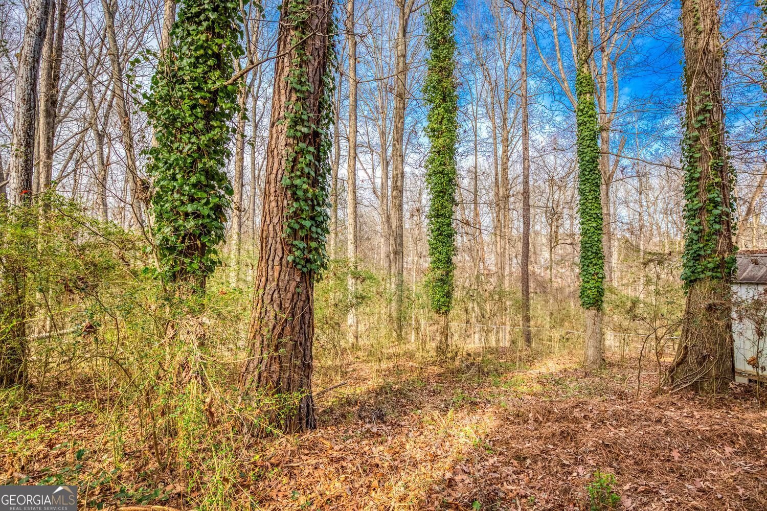 3768 Windy Hill Drive Conyers - Photo 34