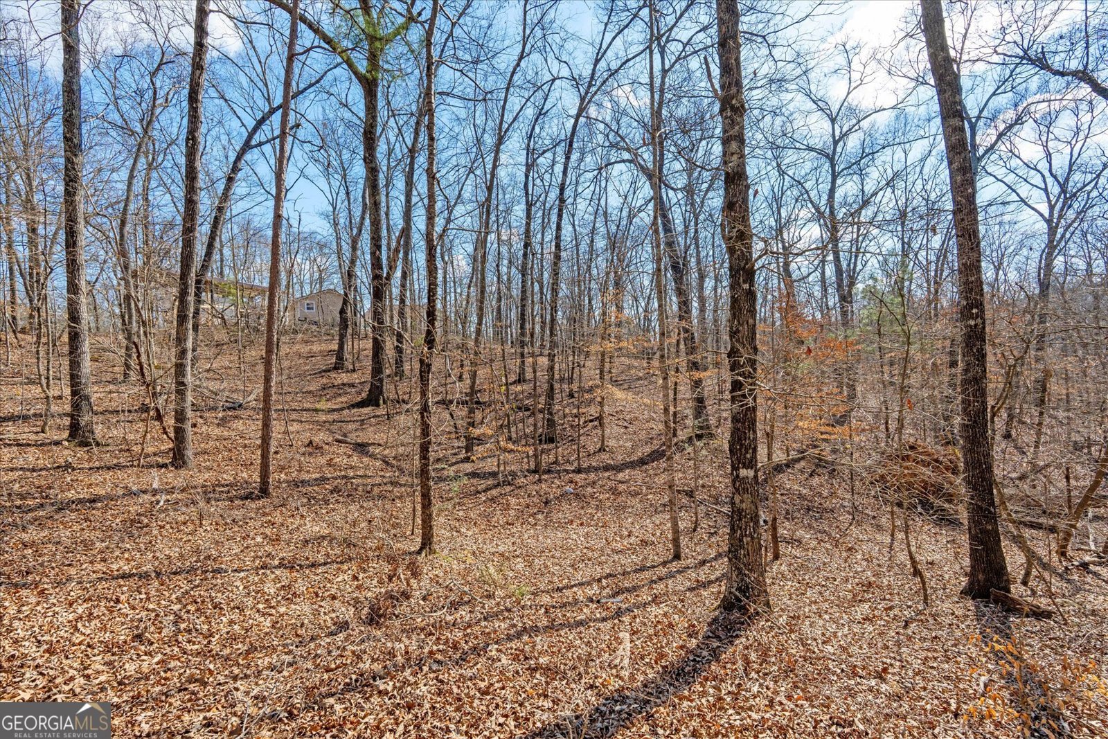 5067 Lazy Acres Drive Douglasville - Photo 48