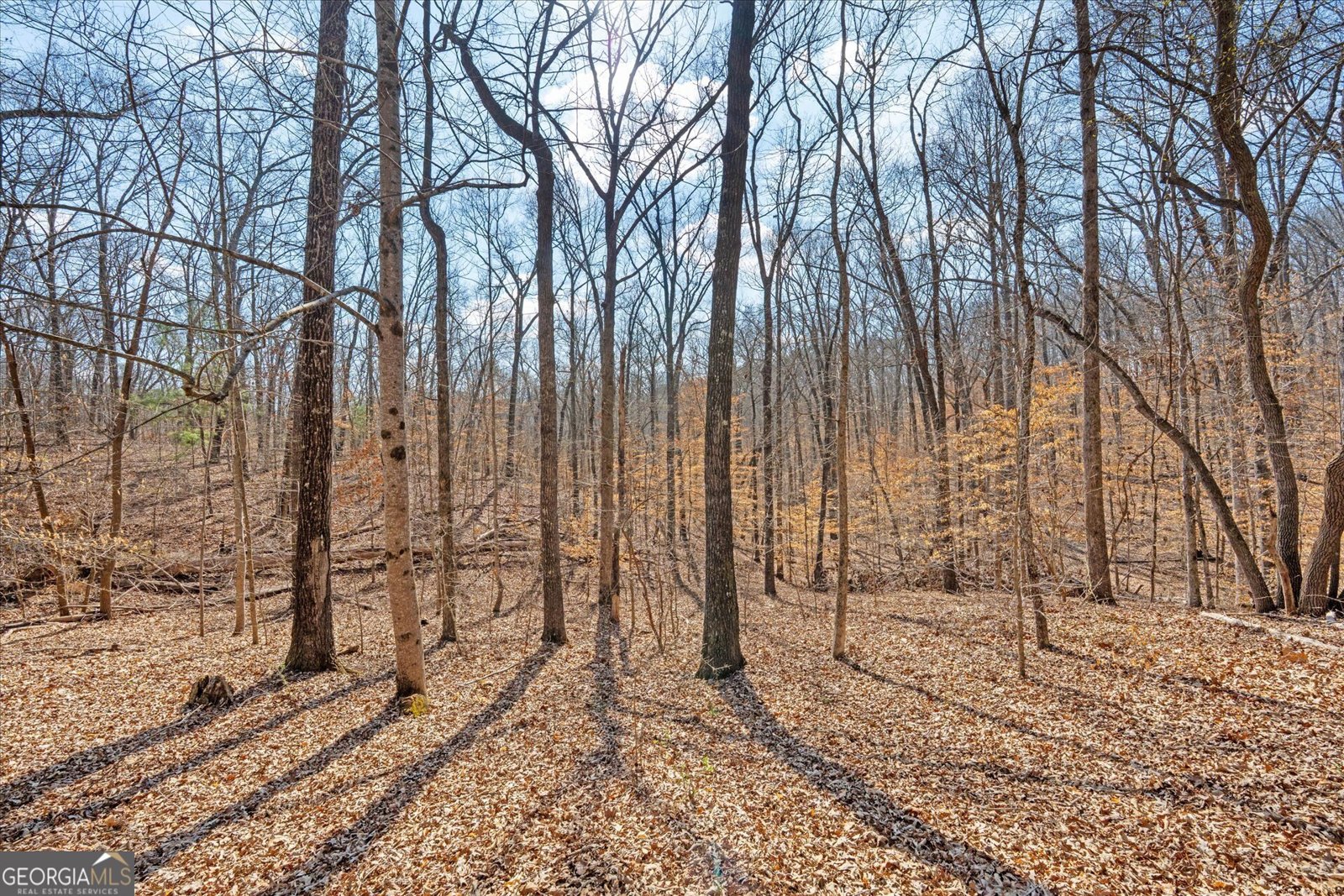 5067 Lazy Acres Drive Douglasville - Photo 49