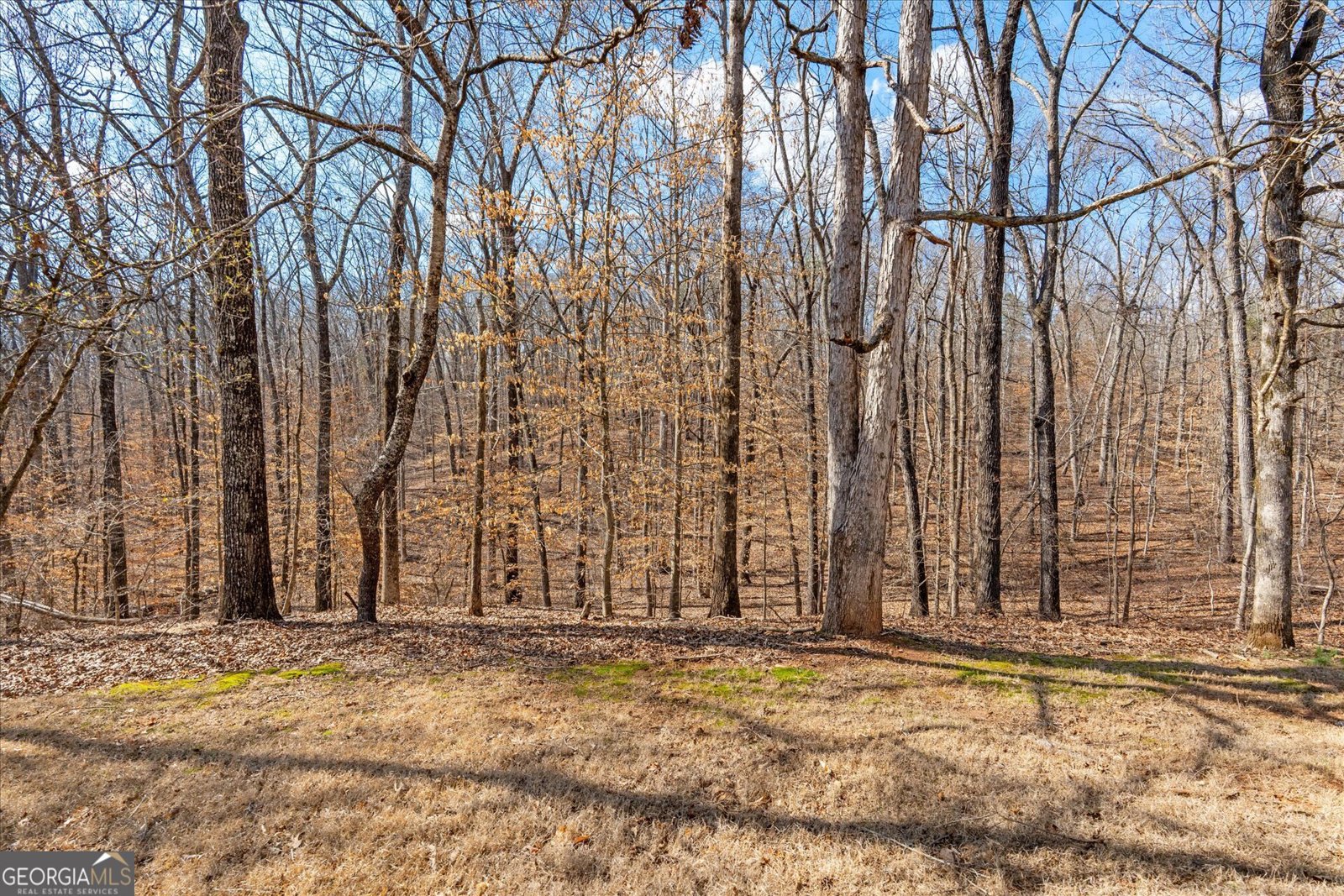 5067 Lazy Acres Drive Douglasville - Photo 50