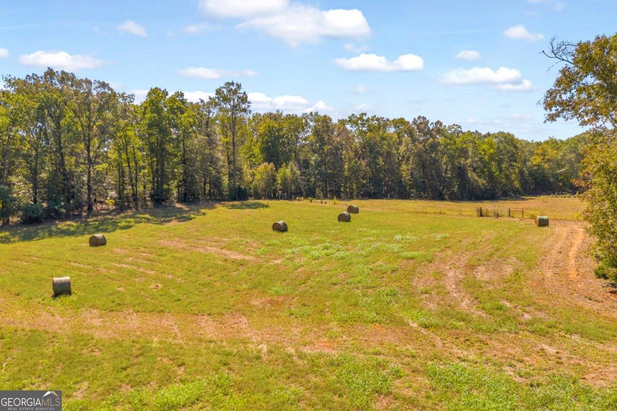 63 Lazy B Drive Hartwell - Photo 31