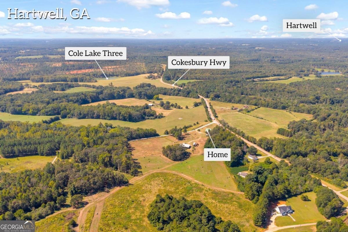 63 Lazy B Drive Hartwell - Photo 8