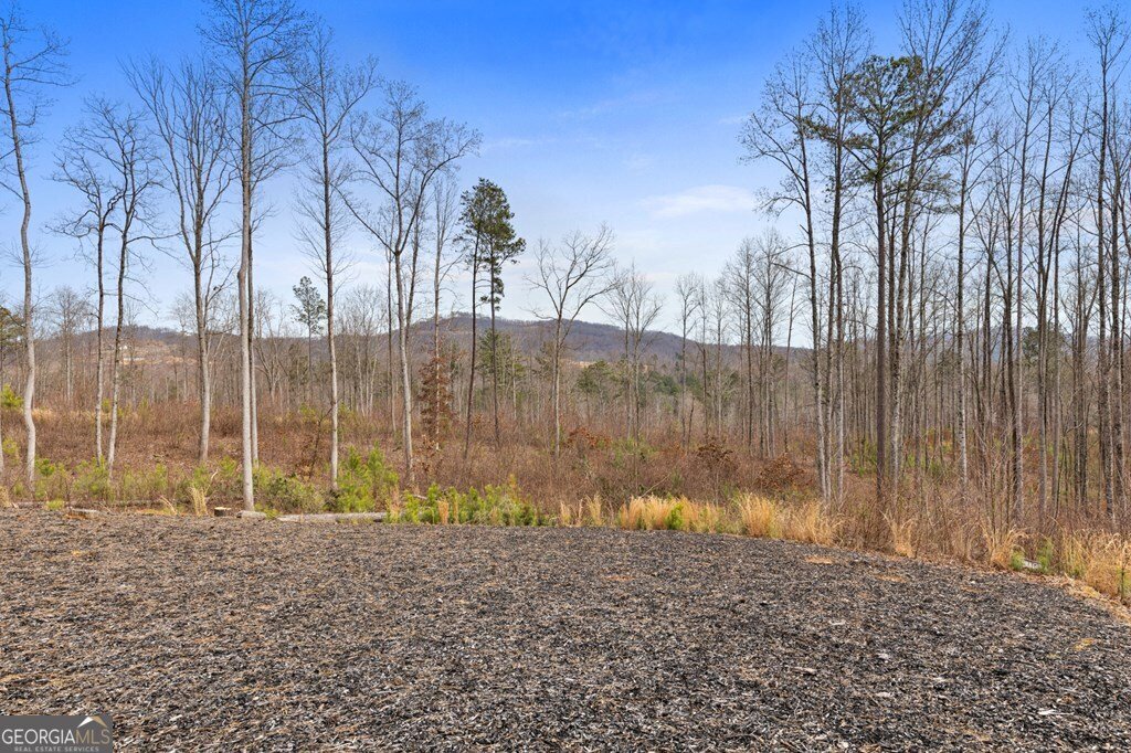 1281 Twisted Oak Road Talking Rock - Photo 23