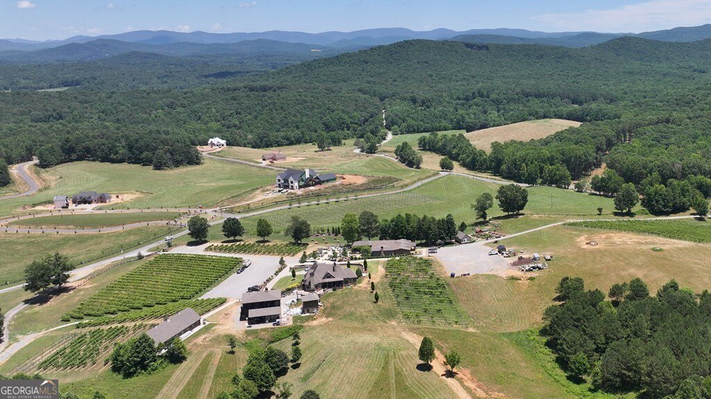 1281 Twisted Oak Road Talking Rock - Photo 29