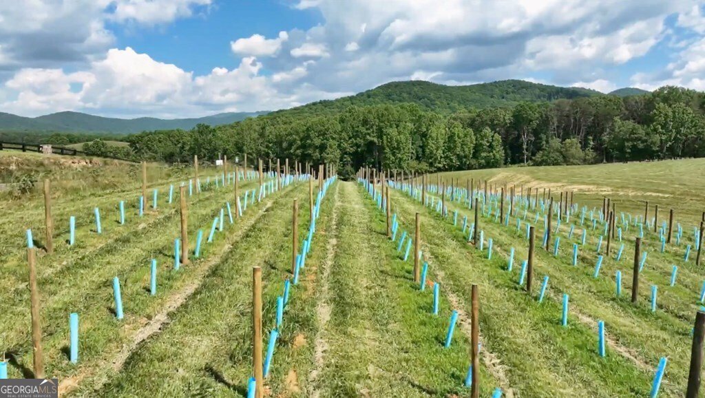 1281 Twisted Oak Road Talking Rock - Photo 32