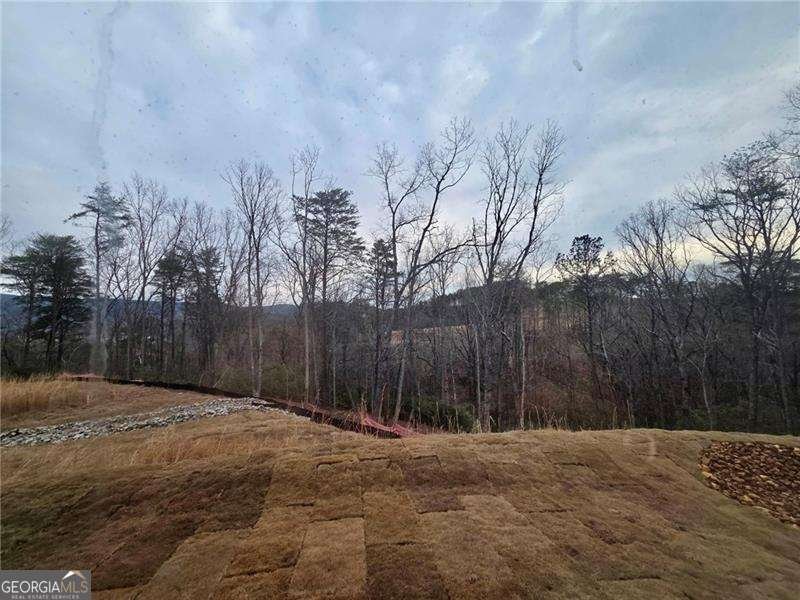 116 Cherokee Cove Waleska - Photo 20