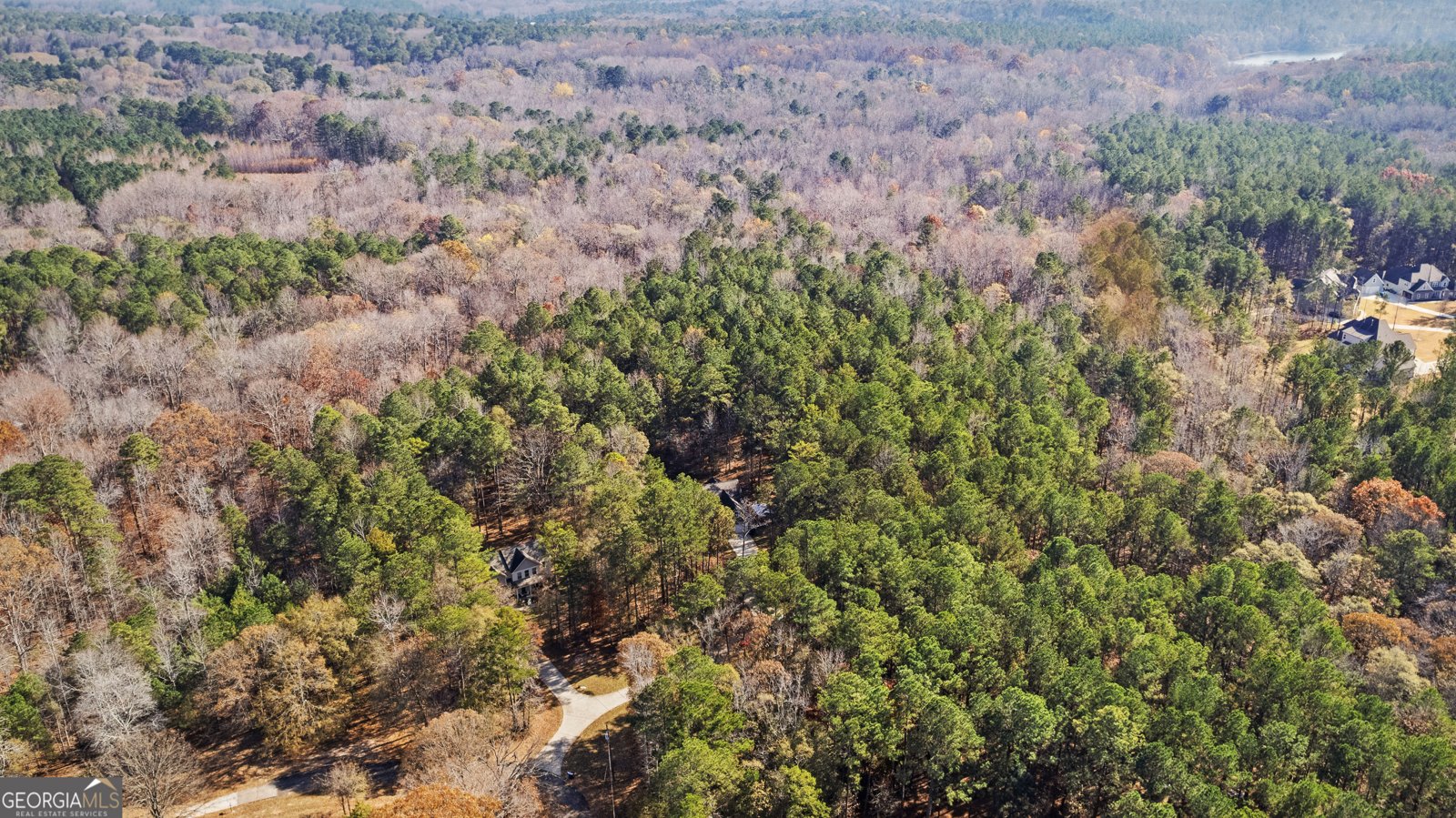 75 Homer Johnson Road Newnan - Photo 34