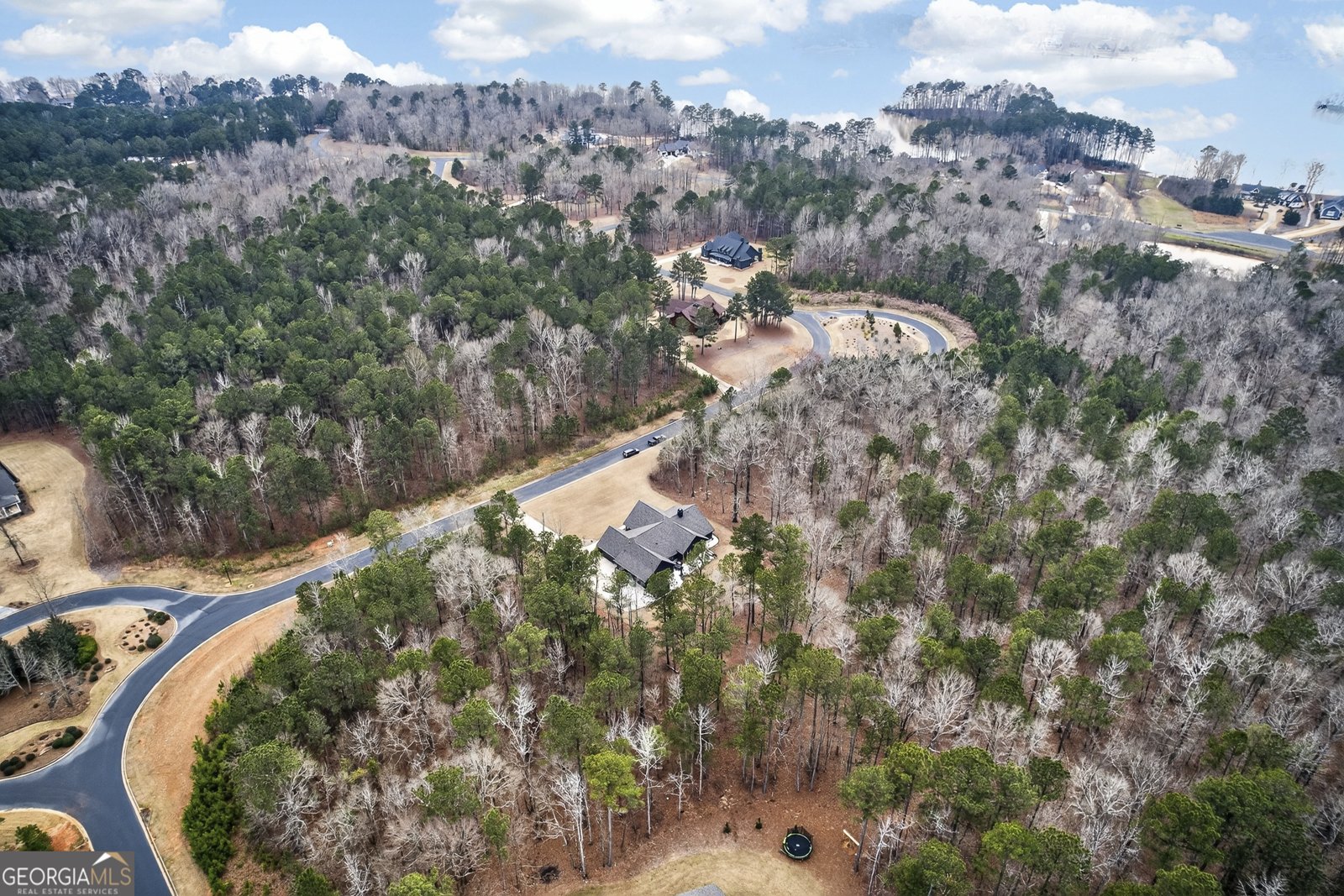 1231 Spinnaker Road Buckhead - Photo 55