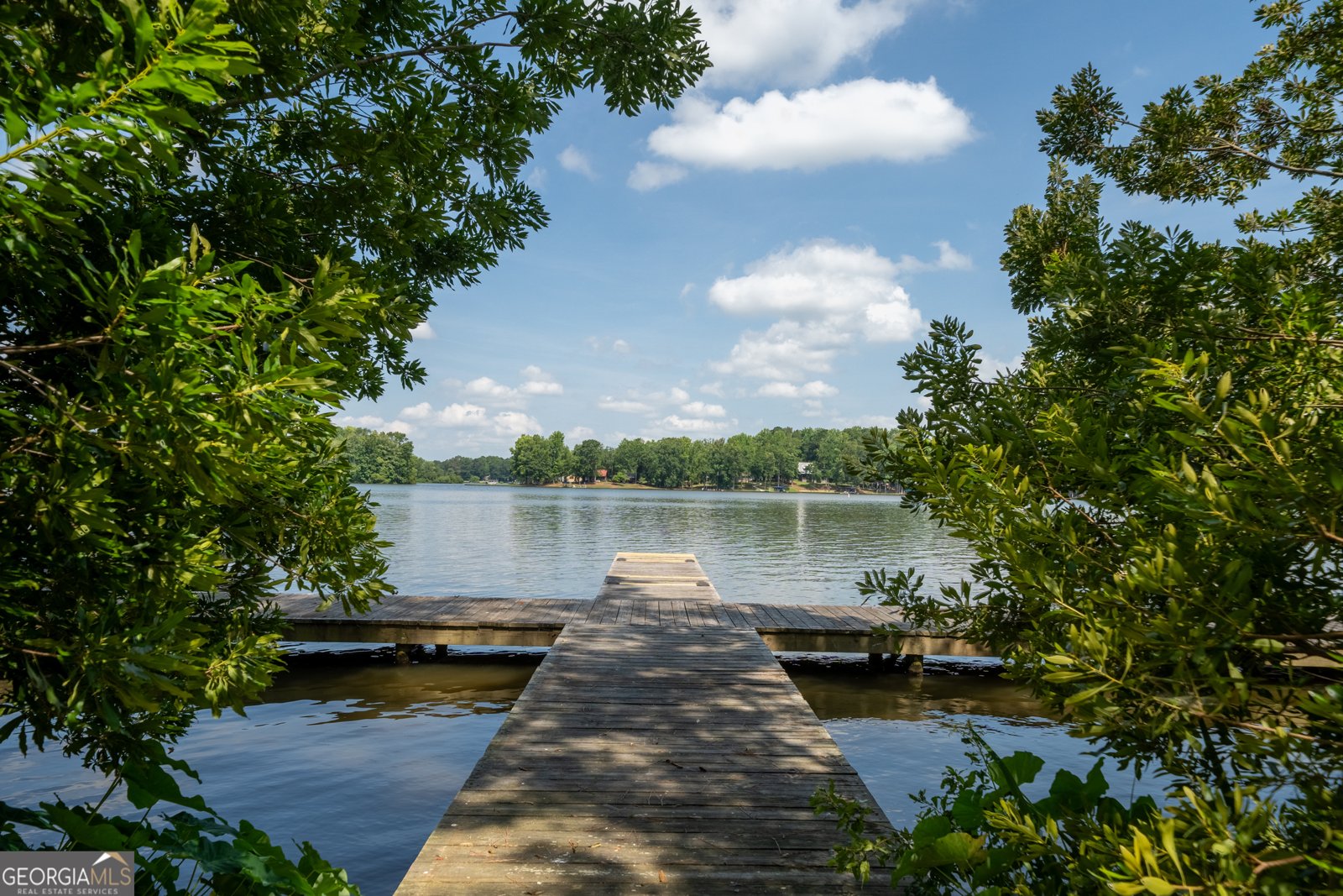 1231 Spinnaker Road Buckhead - Photo 62