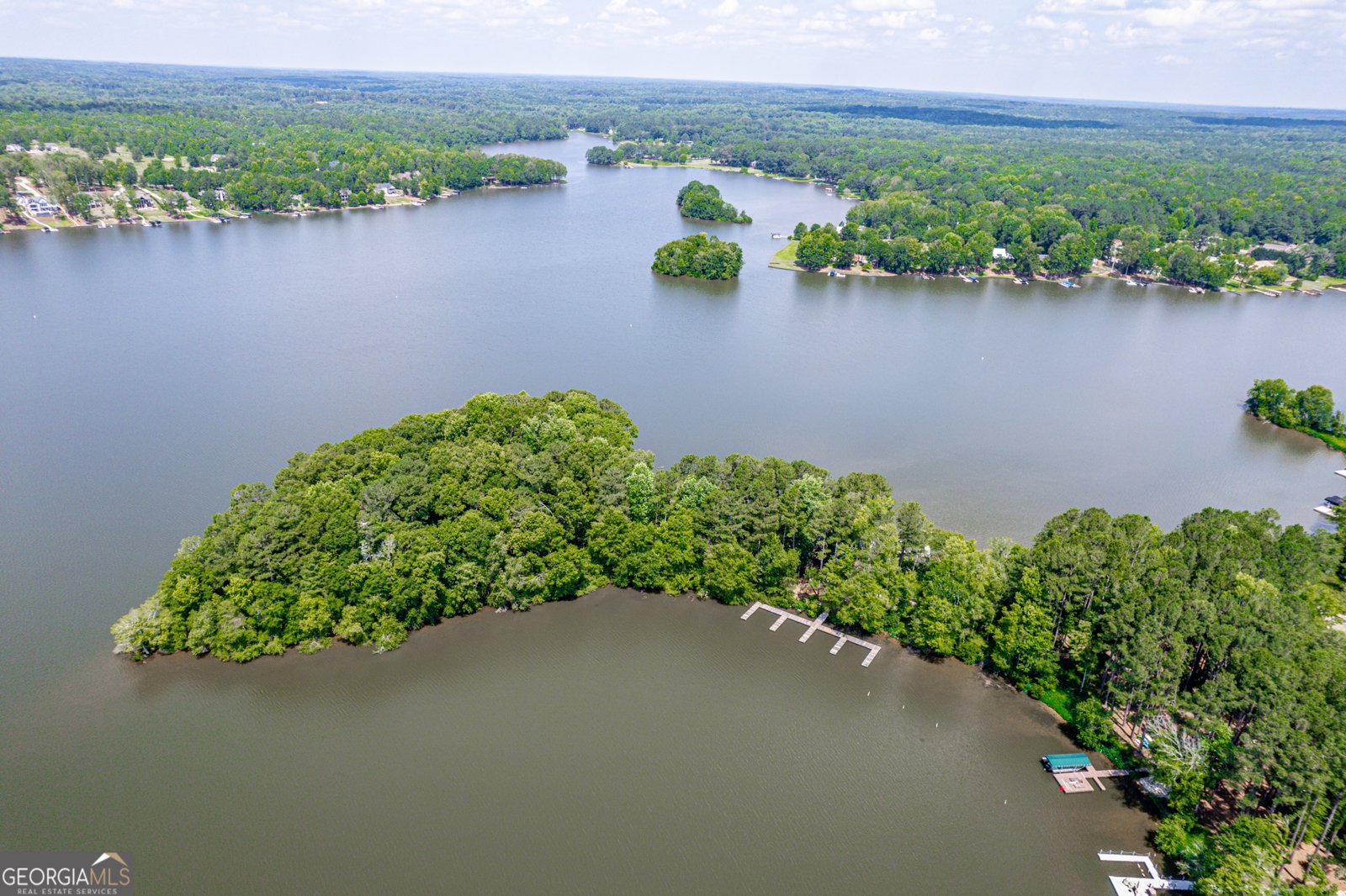 1231 Spinnaker Road Buckhead - Photo 65