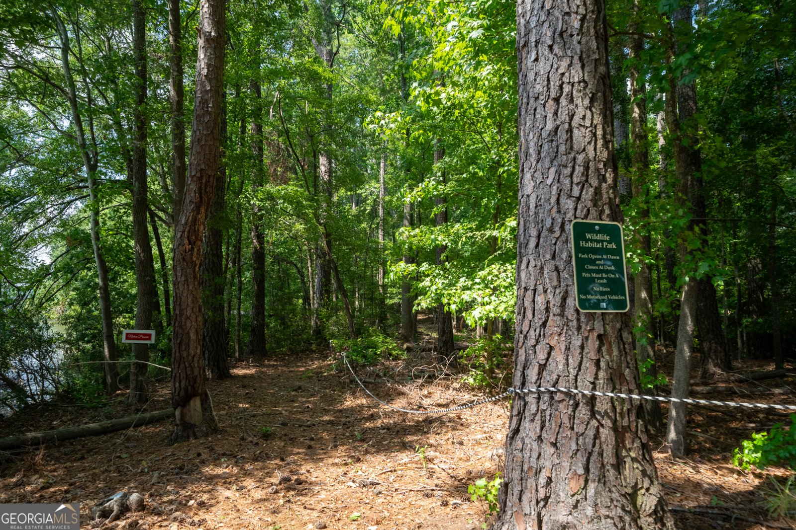 1231 Spinnaker Road Buckhead - Photo 66