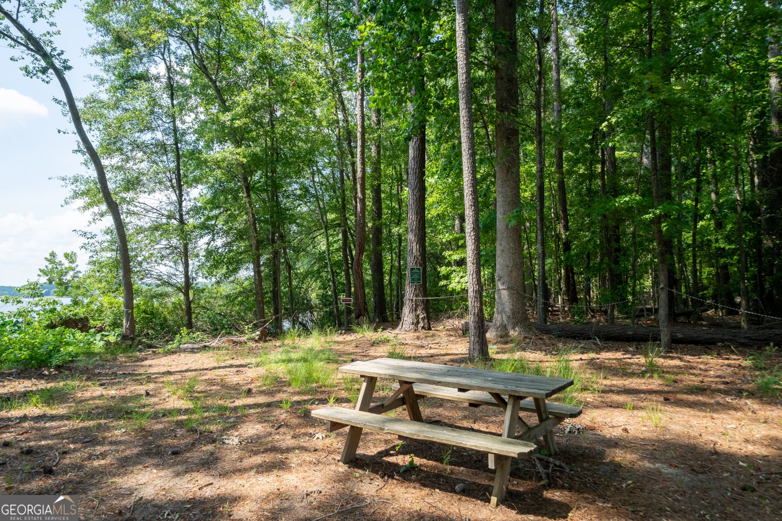 1231 Spinnaker Road Buckhead - Photo 67