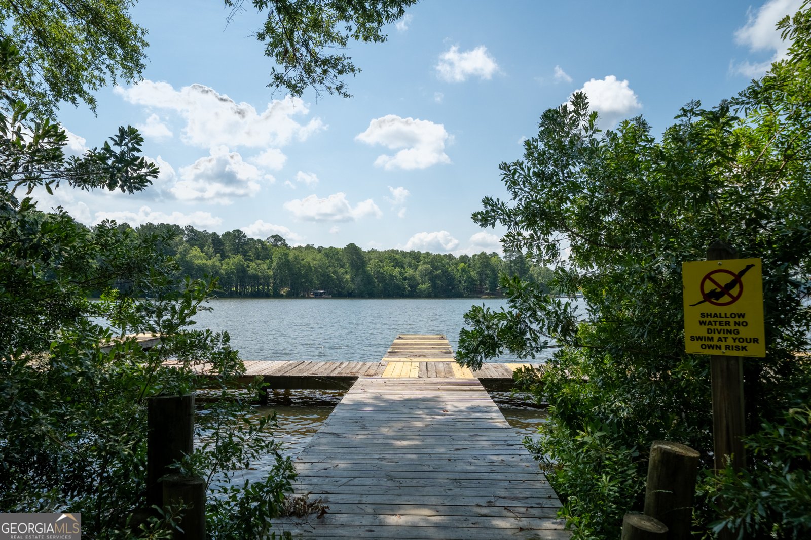 1231 Spinnaker Road Buckhead - Photo 70