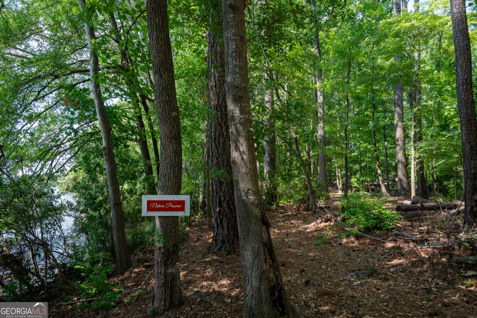 1231 Spinnaker Road Buckhead - Photo 76