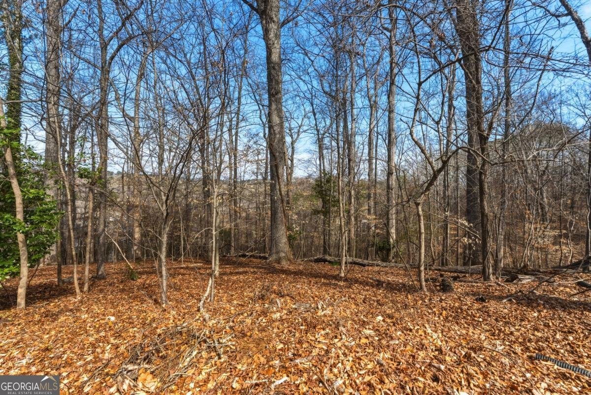 180 Grogans Landing Atlanta - Photo 56