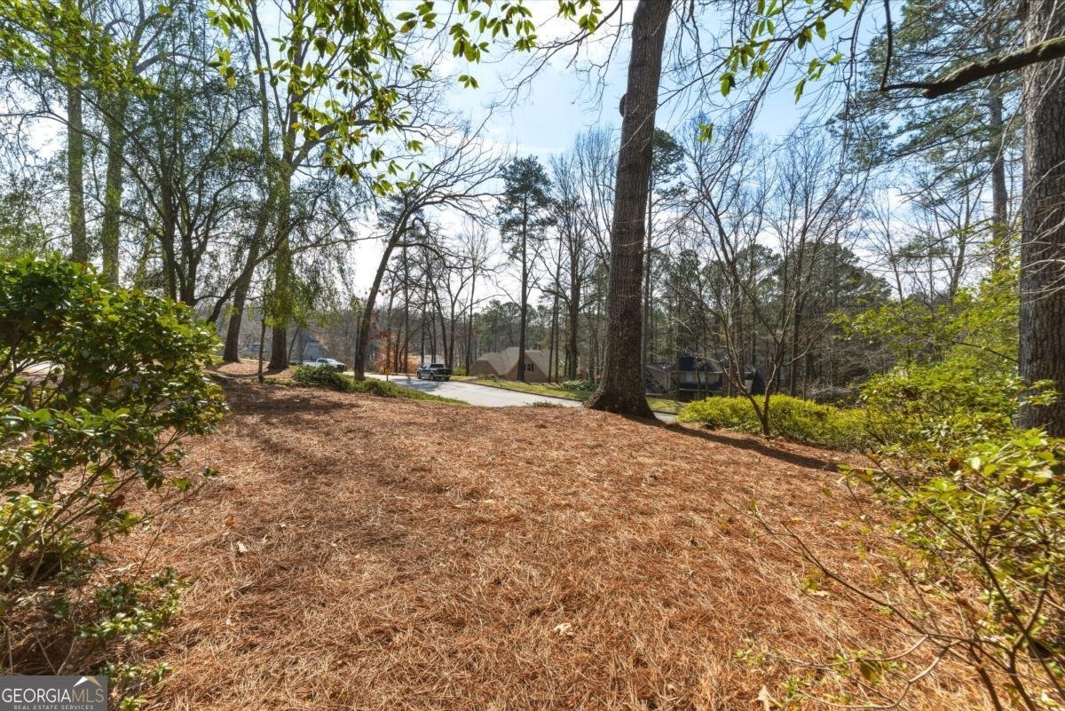 180 Grogans Landing Atlanta - Photo 68