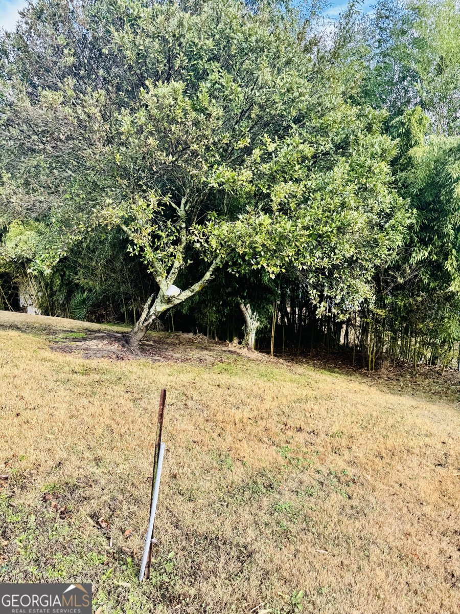 7962 Harmony Ridge Lane Lithonia - Photo 39