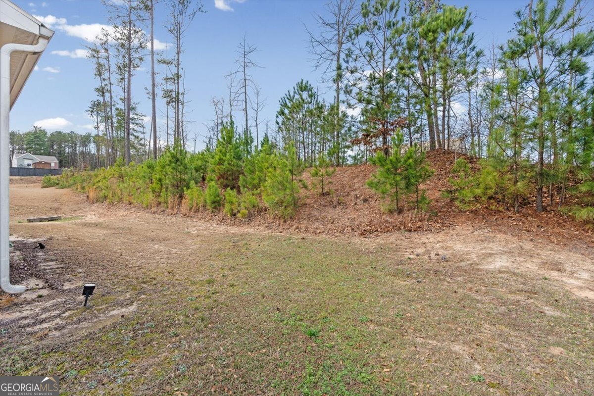 7246 Lacey Drive Douglasville - Photo 22