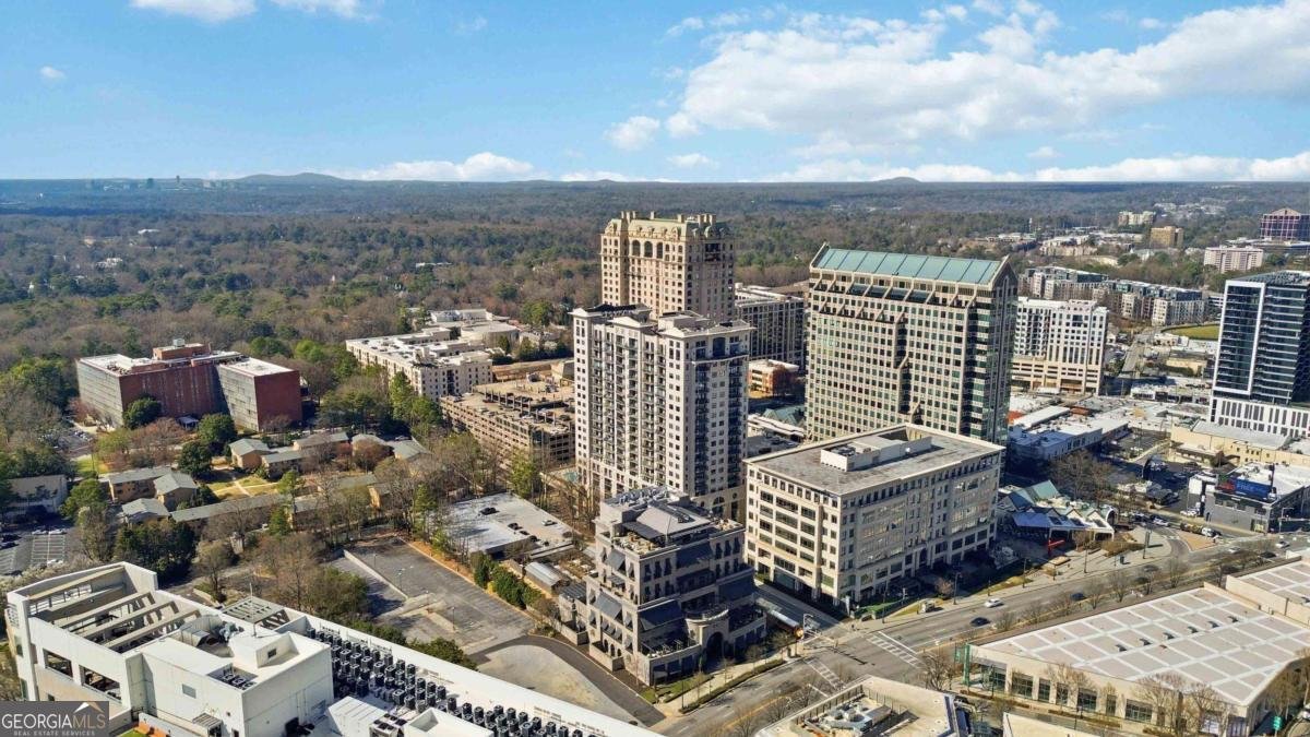 3040 Peachtree Road Atlanta - Photo 39