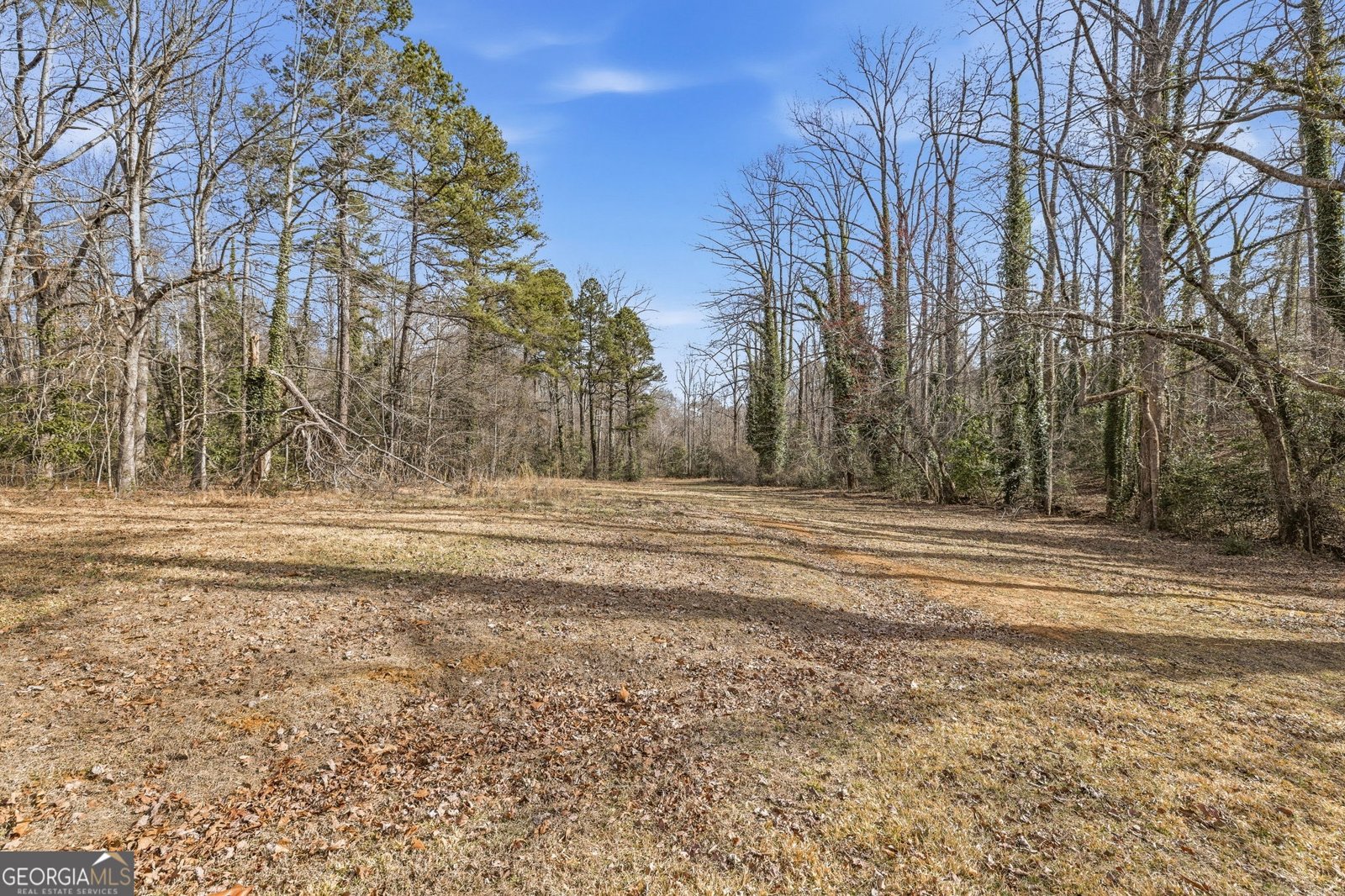1046 Chase Road Cornelia - Photo 46