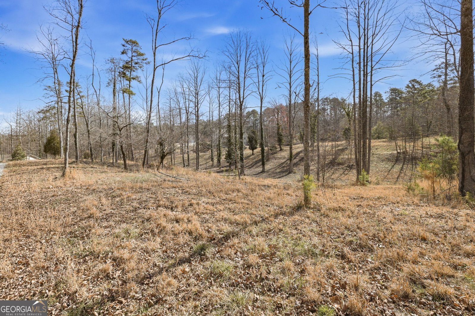 1046 Chase Road Cornelia - Photo 47