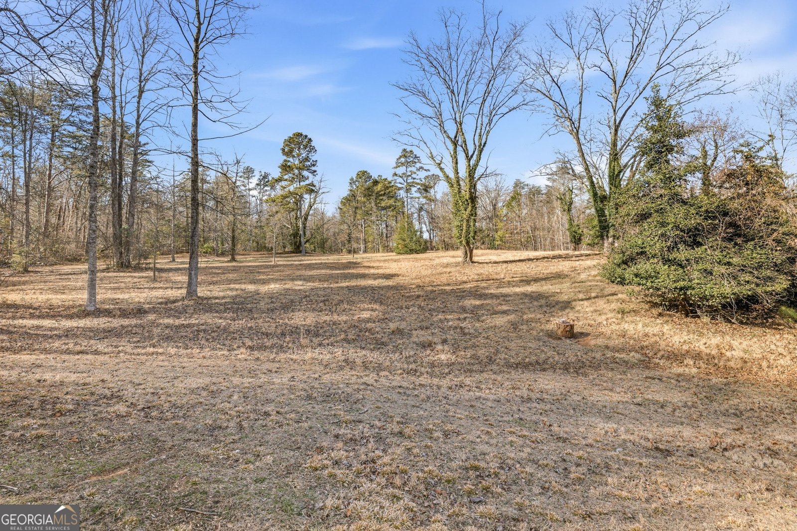 1046 Chase Road Cornelia - Photo 49