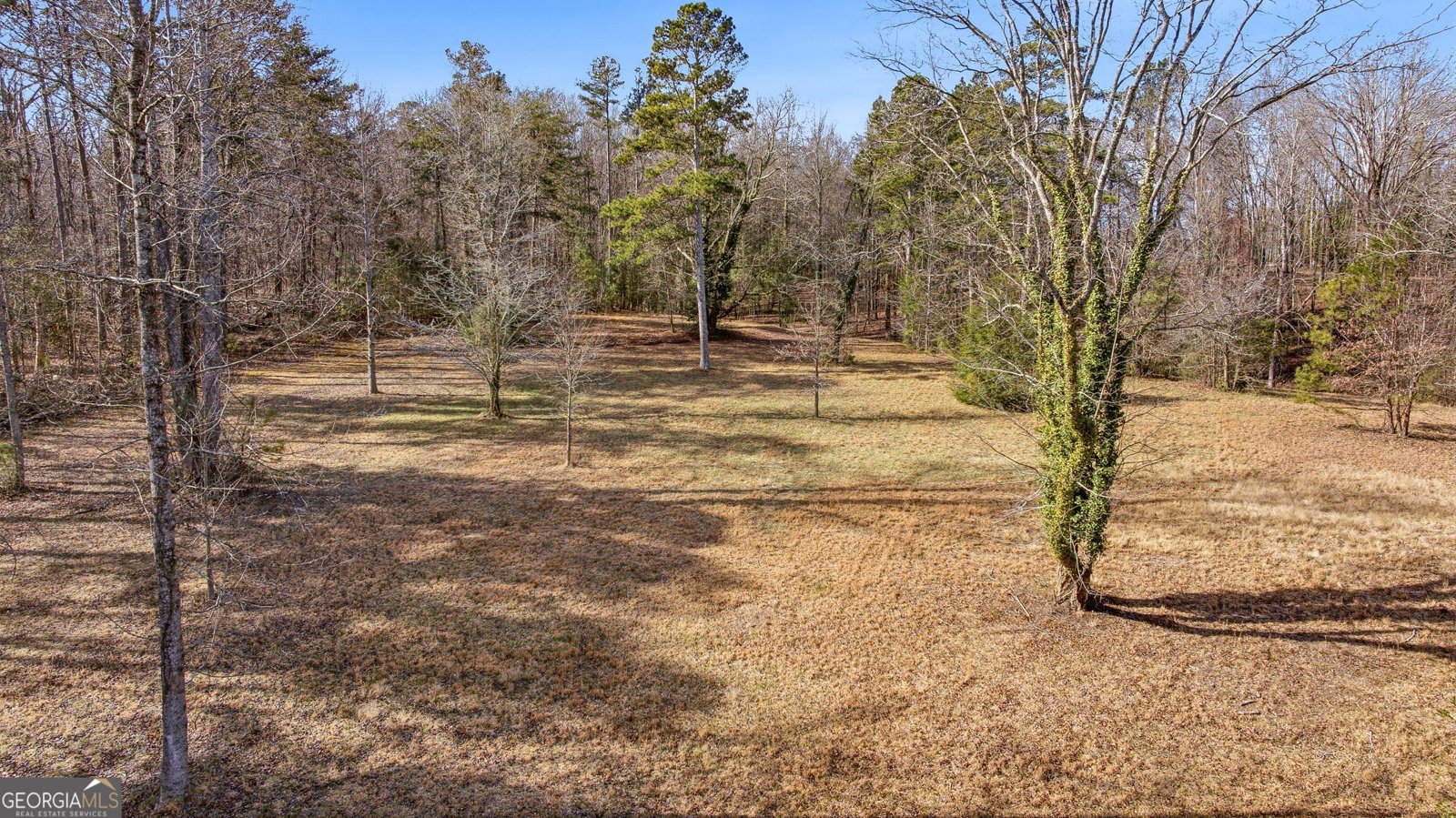 1046 Chase Road Cornelia - Photo 56