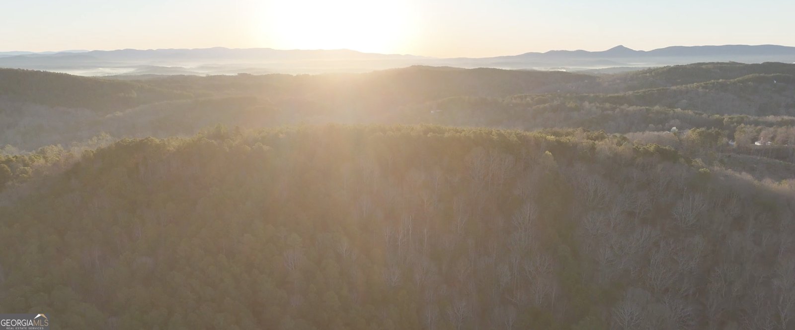 0 Dry Pond Road Ranger - Photo 1