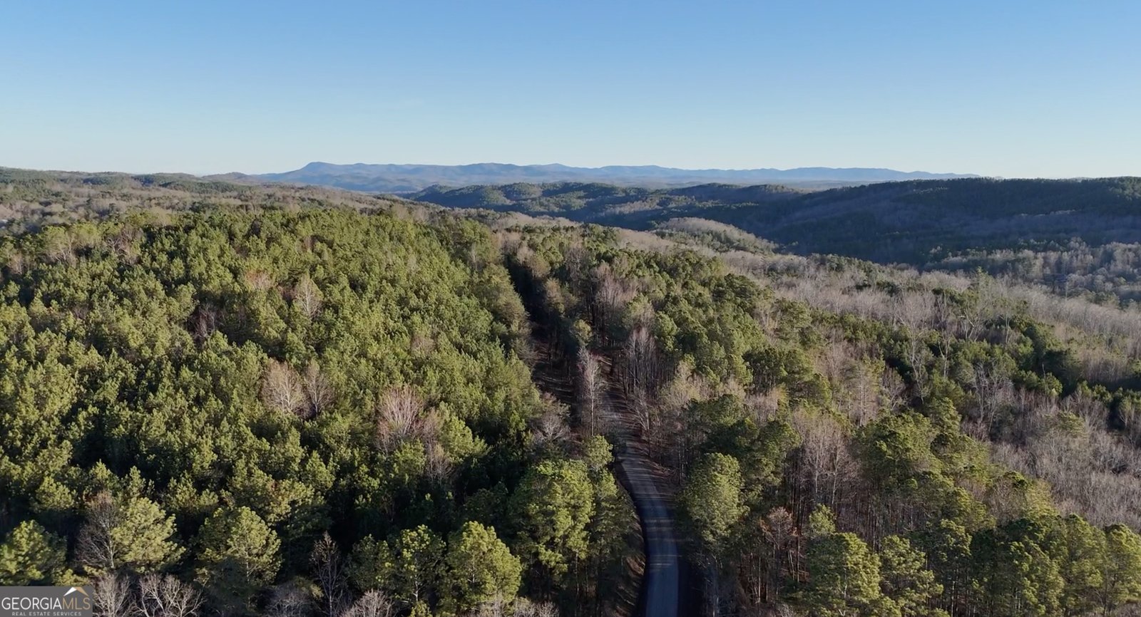 0 Dry Pond Road Ranger - Photo 7