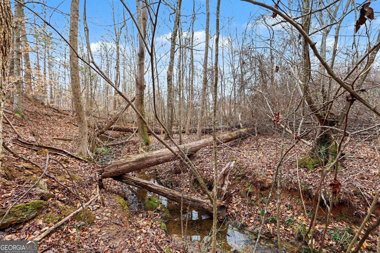 7540 Sunridge Lane Douglasville - Photo 45