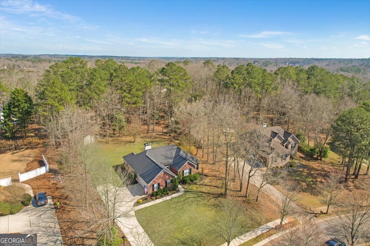 1129 River Green Court McDonough - Photo 26