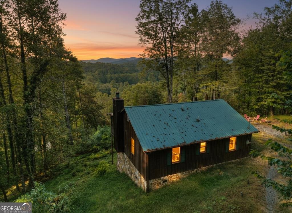 421 Salem Valley Road Mineral Bluff - Photo 1