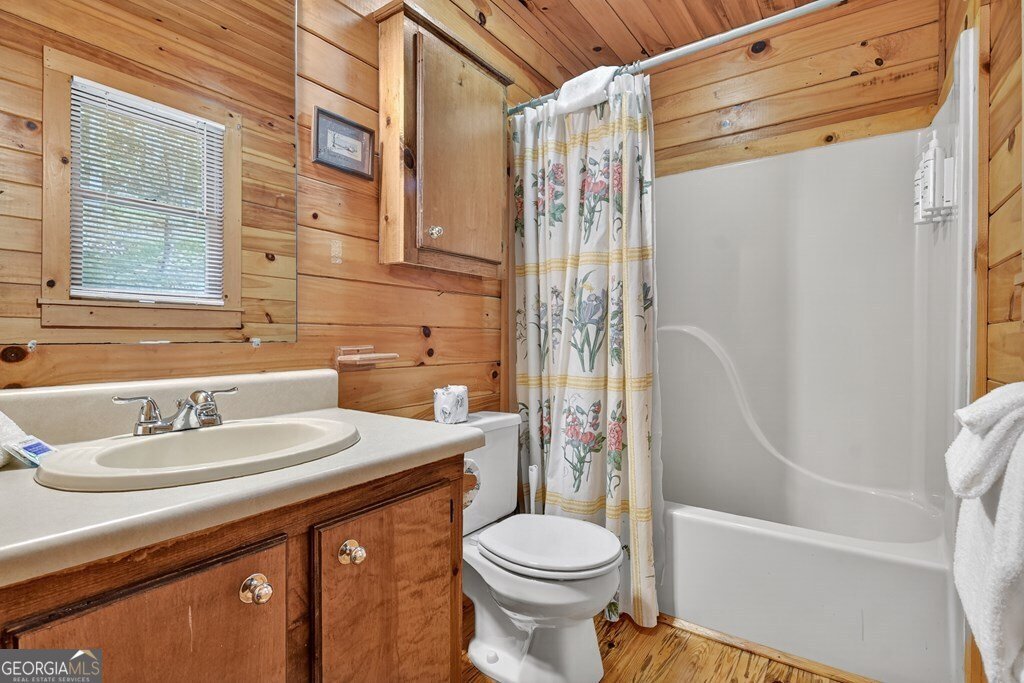 421 Salem Valley Road Mineral Bluff - Photo 18