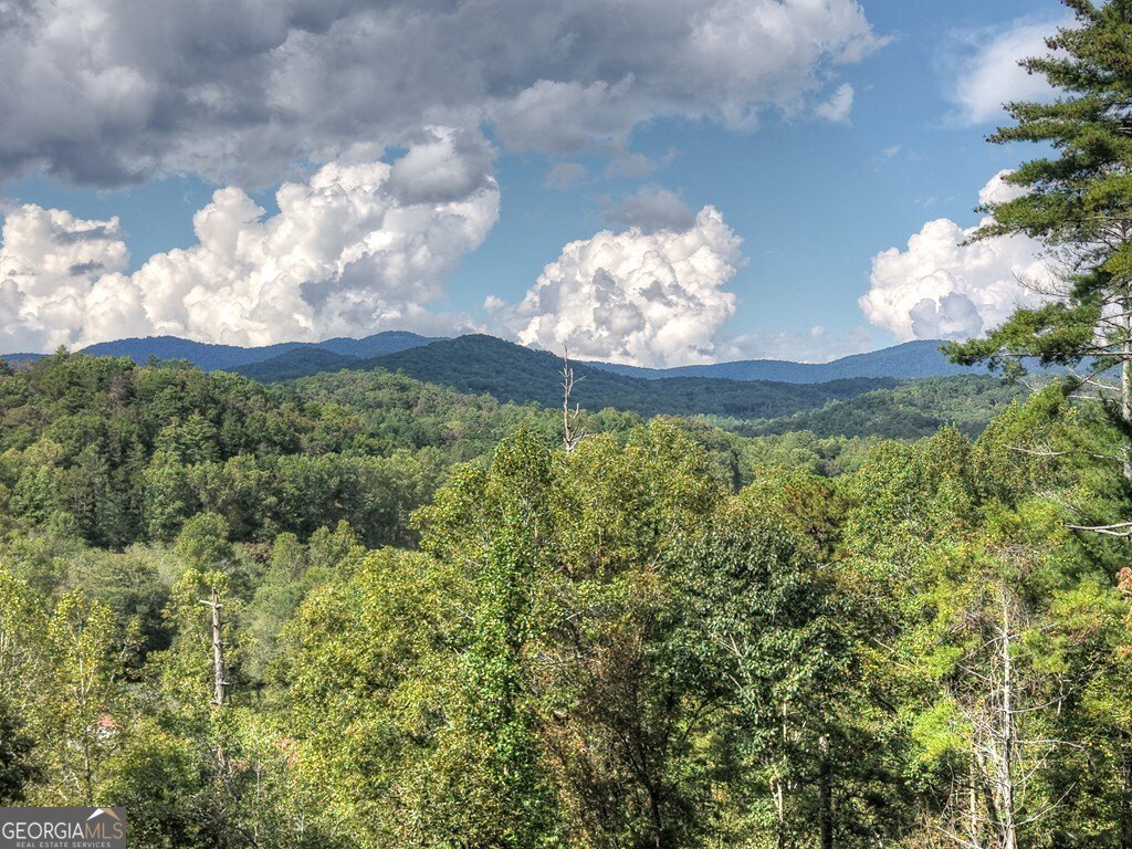 421 Salem Valley Road Mineral Bluff - Photo 21