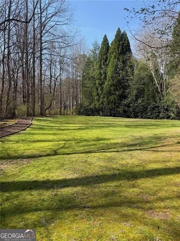 6705 Fox Creek Drive Cumming - Photo 49