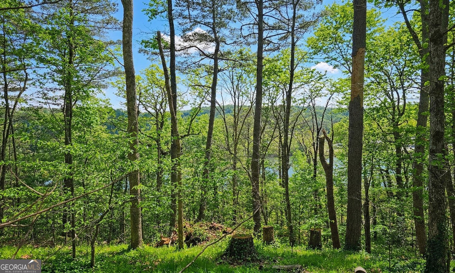 128 River Ridge Lane Roswell - Photo 49