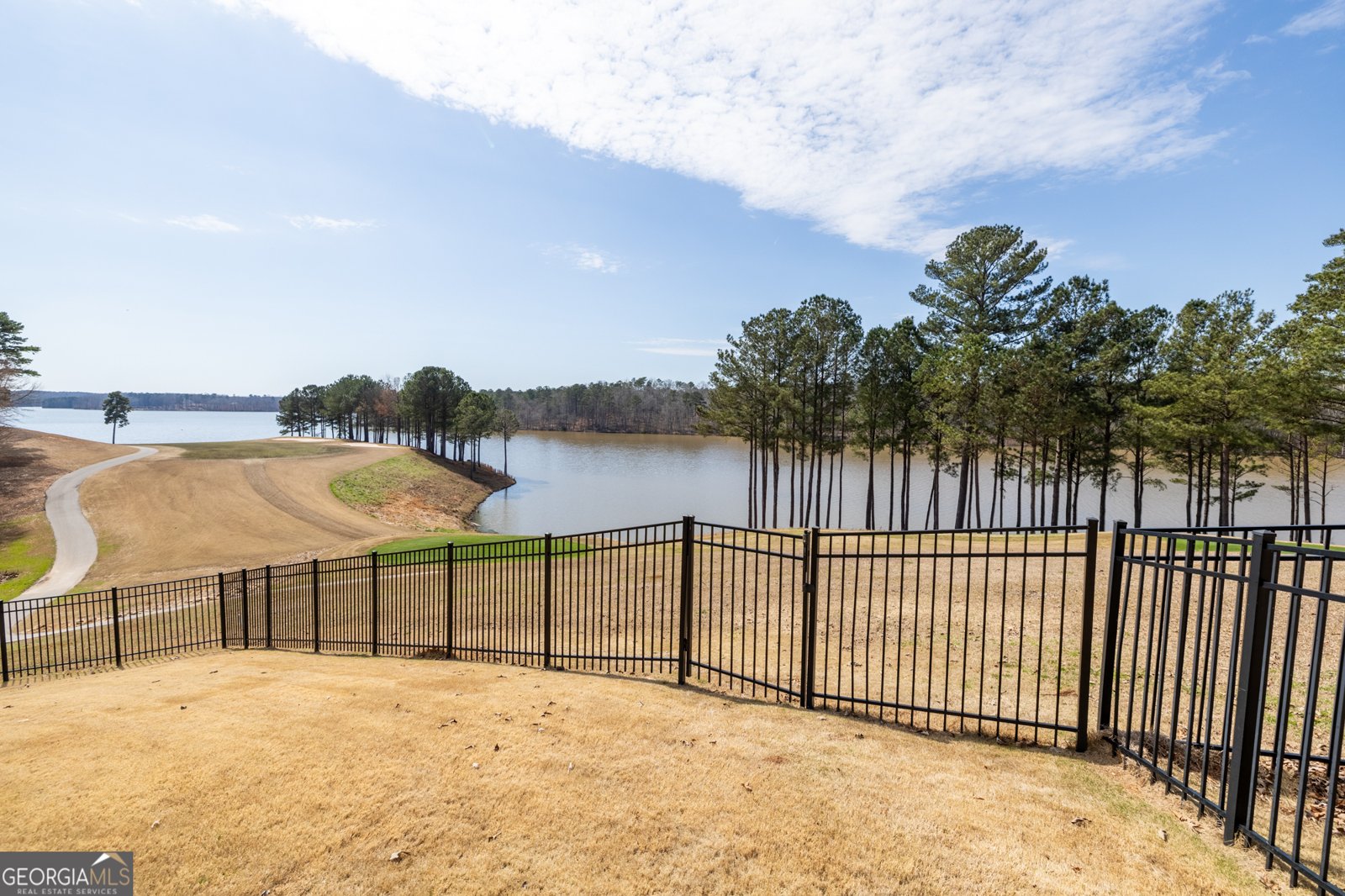 511 Viridian View Peachtree City - Photo 100