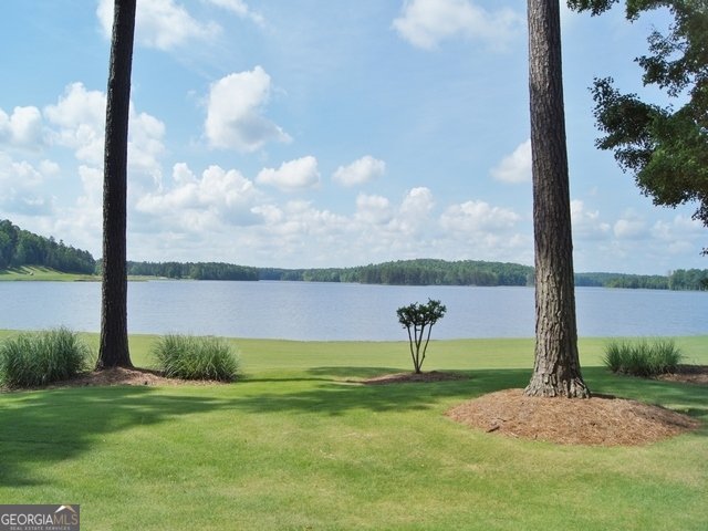 511 Viridian View Peachtree City - Photo 108