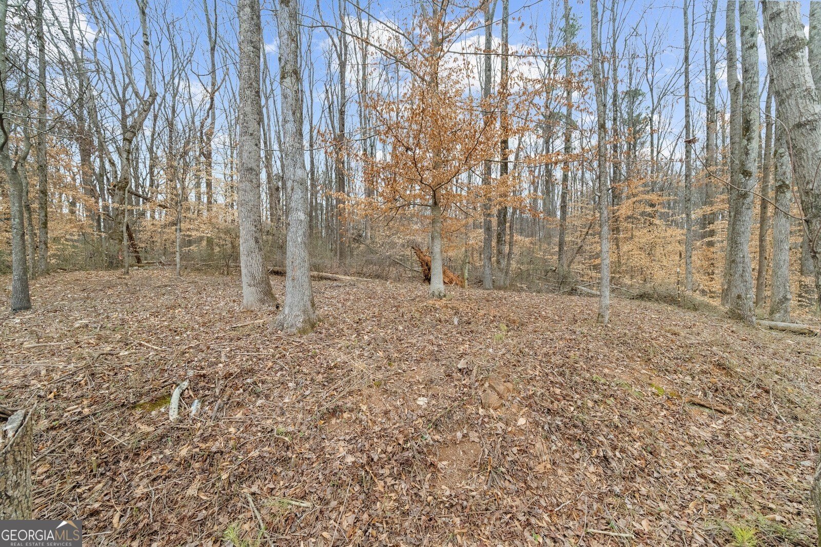 164 Aspen Hall Drive Canton - Photo 60