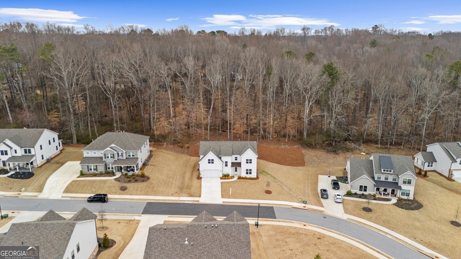 164 Aspen Hall Drive Canton - Photo 64