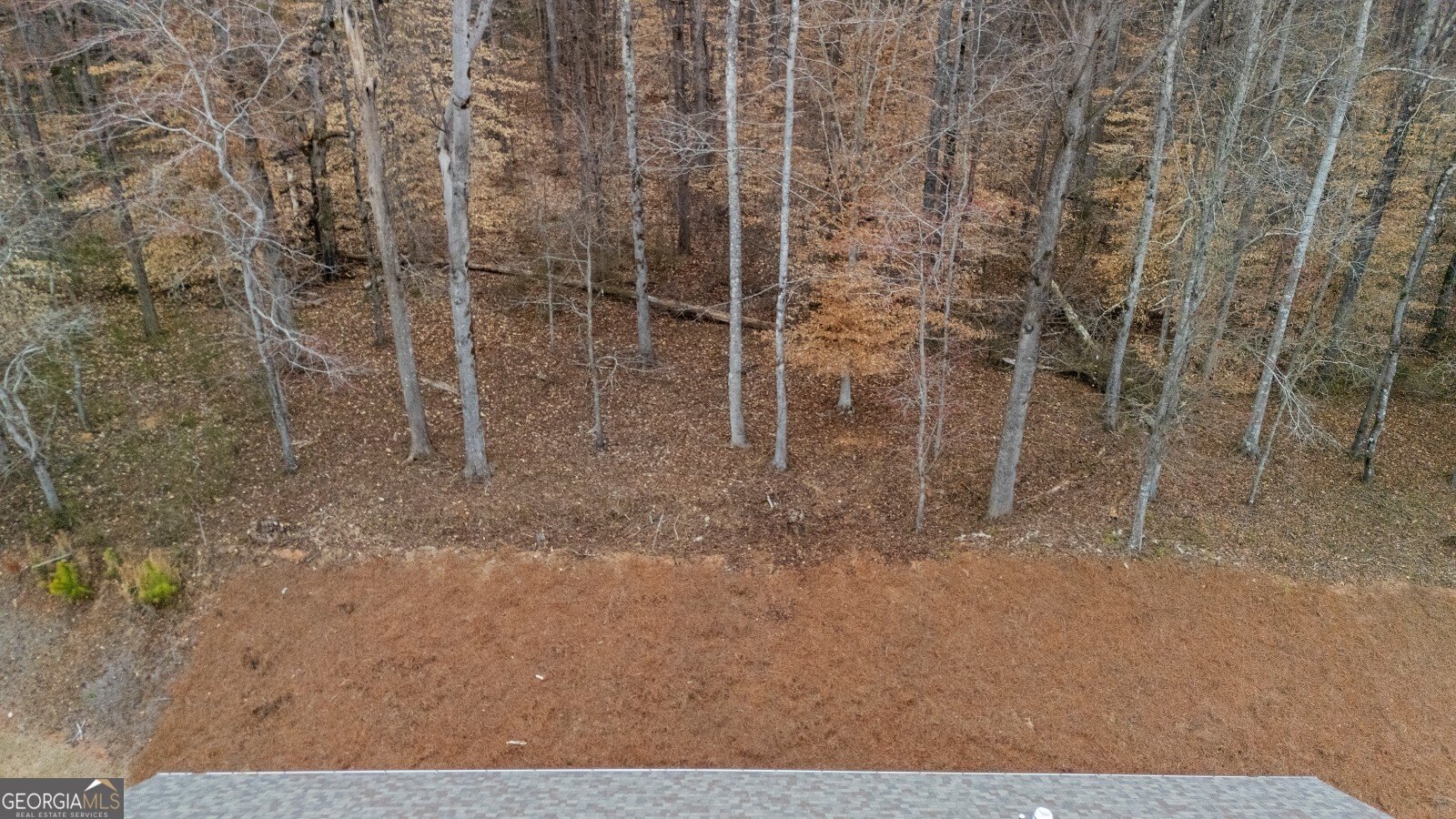 164 Aspen Hall Drive Canton - Photo 66