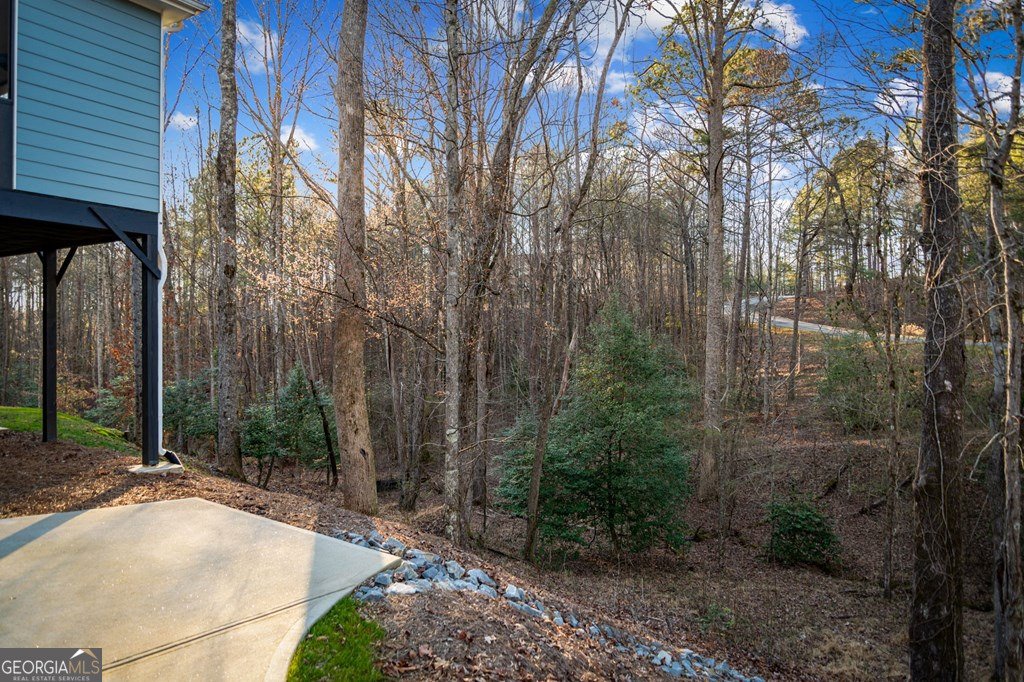 320 Bridge Road Ellijay - Photo 74