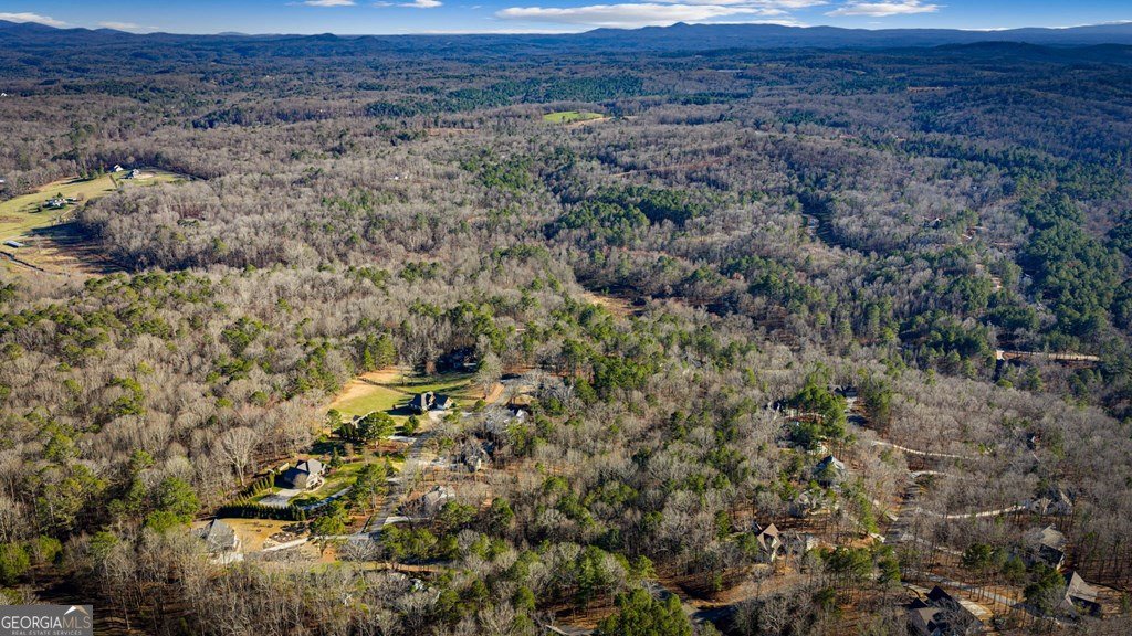 320 Bridge Road Ellijay - Photo 86