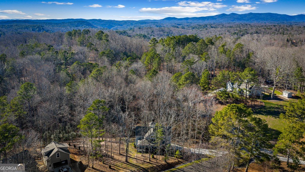 320 Bridge Road Ellijay - Photo 87