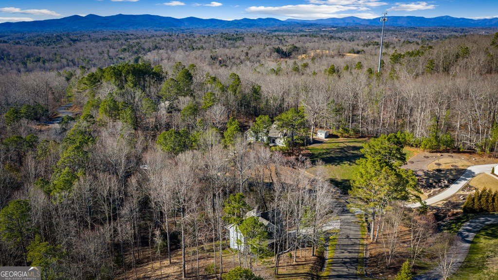 320 Bridge Road Ellijay - Photo 88