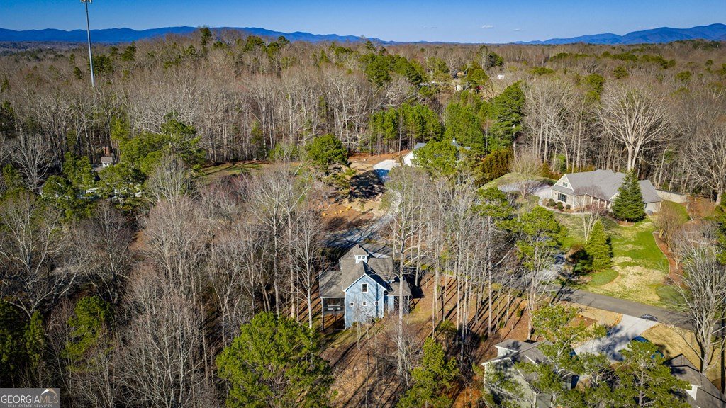 320 Bridge Road Ellijay - Photo 91