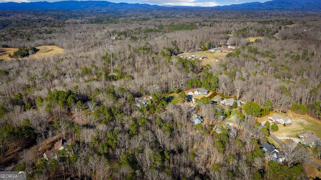 320 Bridge Road Ellijay - Photo 93